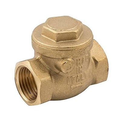 Клапан обратный ELSEN EV42 - 1"1/2 (ВР/ВР, PN10, Tmax 80°C) 1144157490 - фото 139715